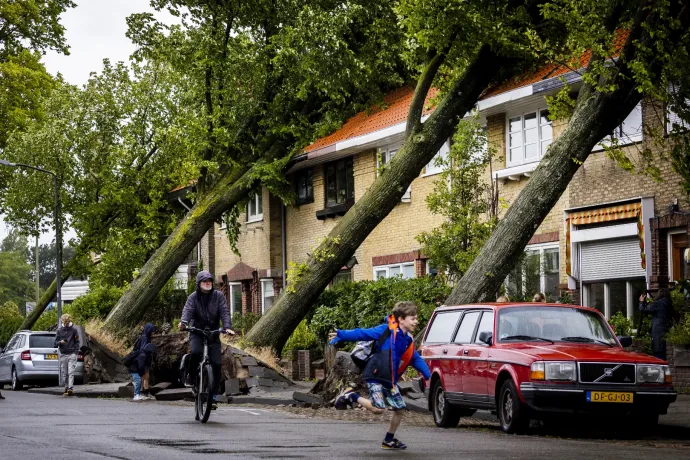 Vihar Hollandiában: fa dőlt egy autóra, a benne ülő ember meghalt