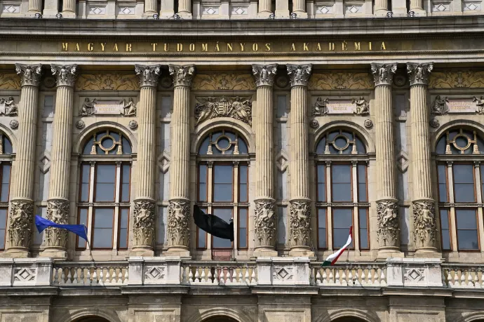 Mészáros Lőrinc gyerekeivel közös cége újíthatja fel a Magyar Tudományos Akadémiát