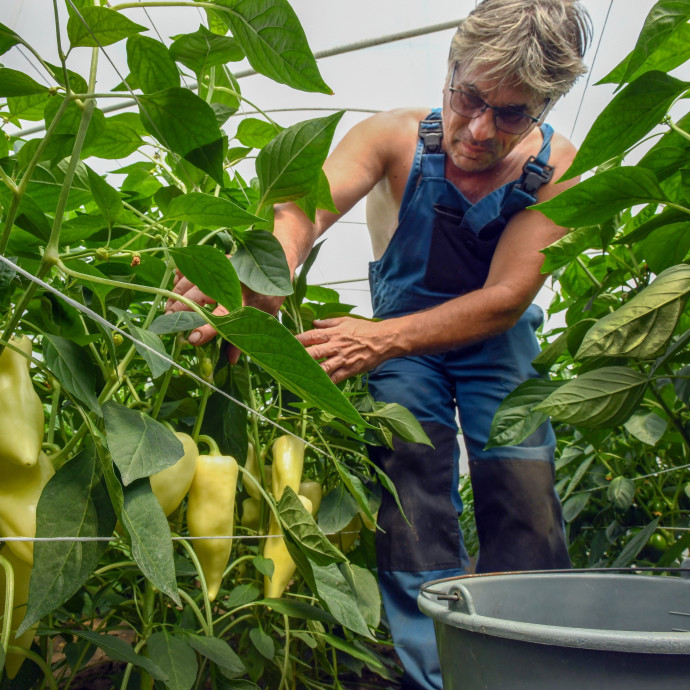 Nagyon durván esik vissza az élelmiszerek drágulása