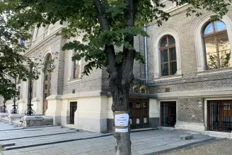 Aláírásgyűjtés indult a Farkas utca költöztetésre ítélt fáinak védelmében
