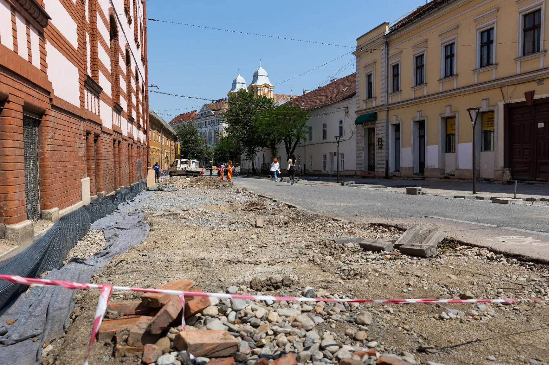 Egy rég elkésett közvitával próbálja Kolozsvár megoldani az Egyetem utcai fák kérdését