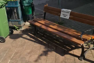 Már csak a barnafestékes középenállók hiányoztak