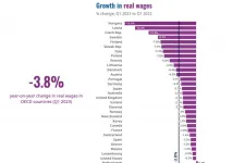 OECD report: Hungary saw biggest fall in real wages in first quarter of 2023