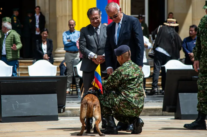 ésében részt vevő katonát és kutyáját – Fotó: Sebastian Barros / AFP