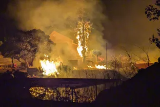 Hatalmas tűzvész La Palma szigetén: 140 hektárnyi erdő kapott lángra, 500 embert evakuáltak