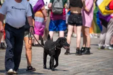 DNS-technológiával küzdene egy francia kisváros az utcán hagyott kutyaszar ellen