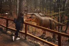 Hatalmas vidámpark épülhet Sepsiszentgyörgy közelében