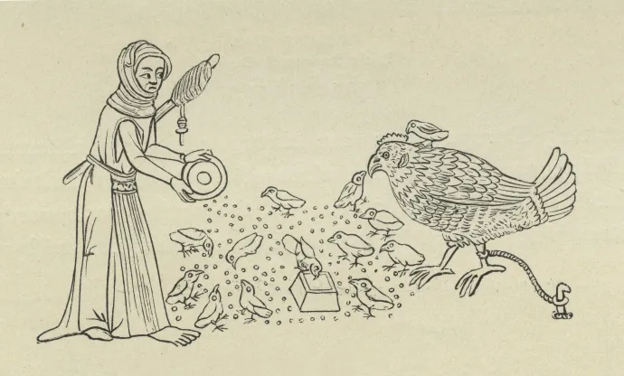 Csirkéket etető jobbágy egy 14. századi kézirat illusztrációjaként – Forrás: Culture Club / Getty Images