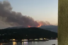 Korfun is erdőtűz tombol, megkezdték az evakuálást
