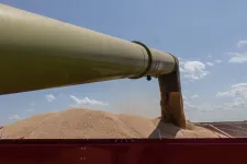 IMF: A gabonaegyezmény vége 15 százalékkal növelheti a gabona árát