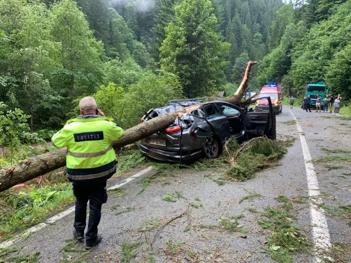 Egy nő halálát okozta a szél által kicsavart, majd a személygépkocsira zuhant fa a Transalpina úton, Fehér megyében, 2023. júl. 26-án – Fotó: Meteoplus