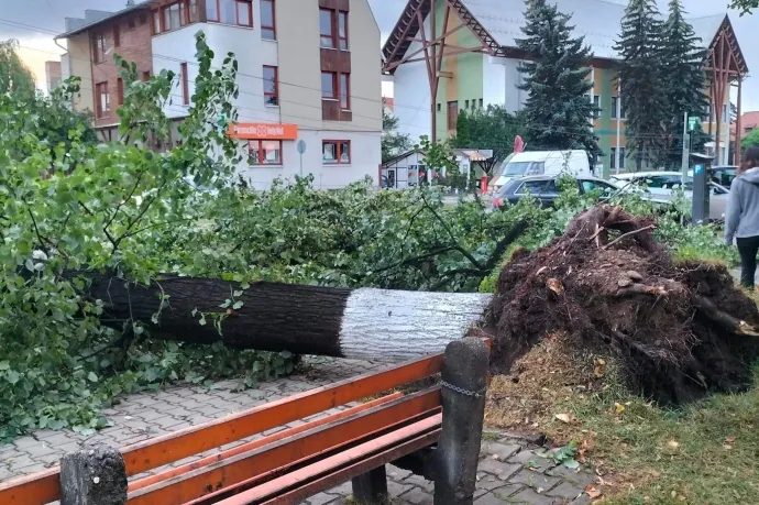 A délutáni vihar miatt másnap reggel is áram nélkül ébredtek a gyergyószékiek
