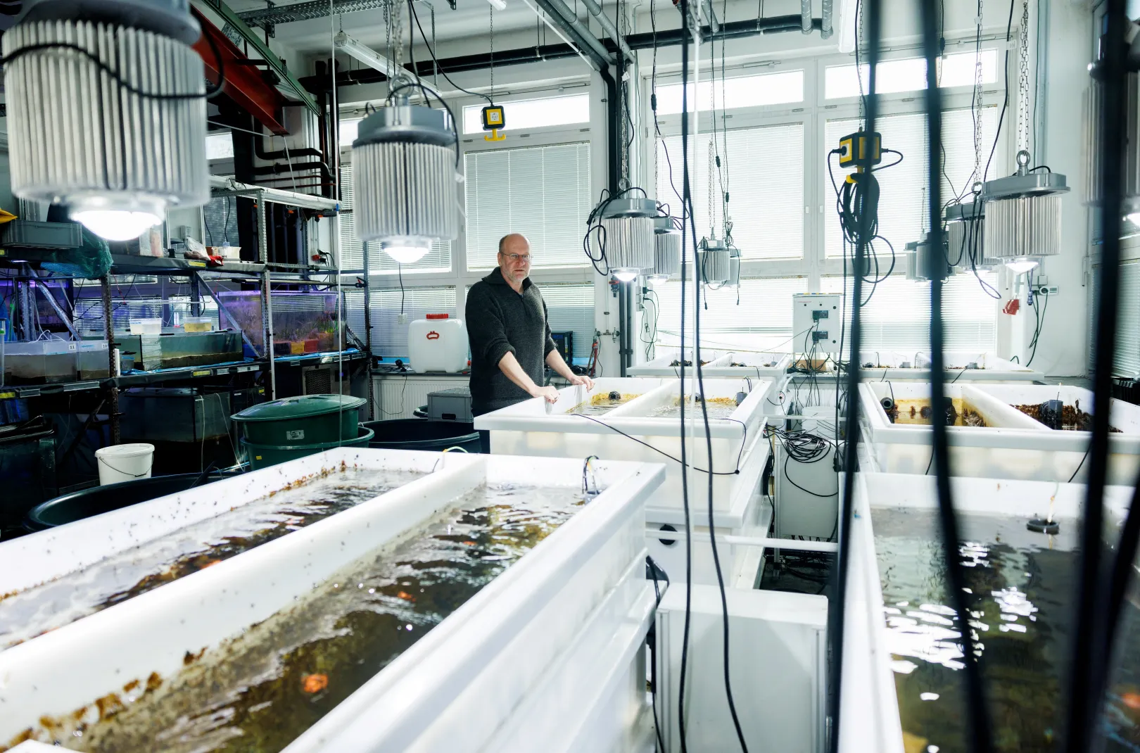Thorsten Reusch, a GEOMAR tudósa az intézet laborjában a tengerifűvel teli tartályok mellett – Fotó: Lisi Niesner / Reuters