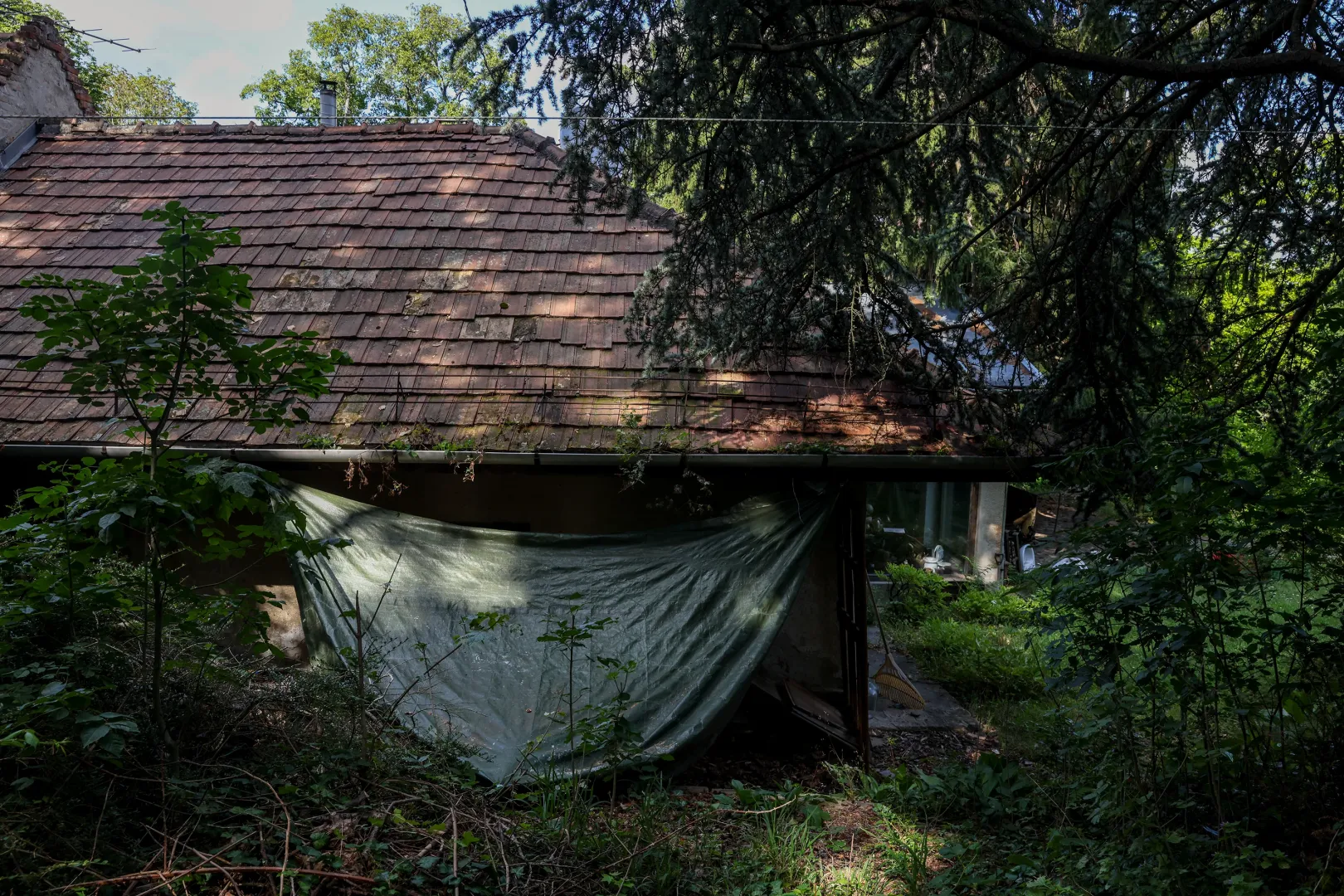 Amikor 1991-ben beköltözött a család, milliókat költöttek az akkor romos ház felújítására, az önkormányzat azóta alig segített az ingatlan megóvásában – Fotó: Melegh Noémi Napsugár / Telex