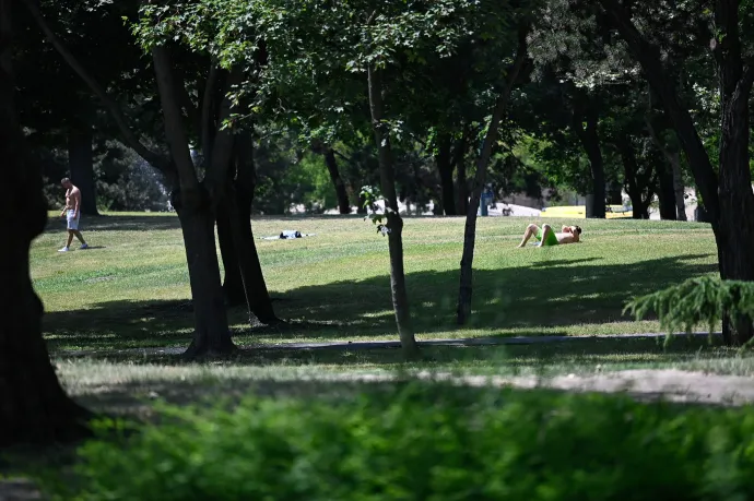 Van egy jó hírünk azoknak, akik nem szeretik a kánikulát