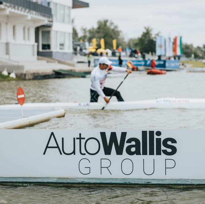 Ekkorára hízott az AutoWallis a magyar autópiacon