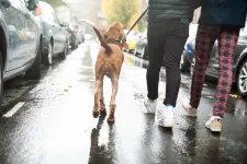 A napi négyezer lépés az új mágikus szám: a kutatók szerint ennyit kell naponta megtennünk az egészségünkért