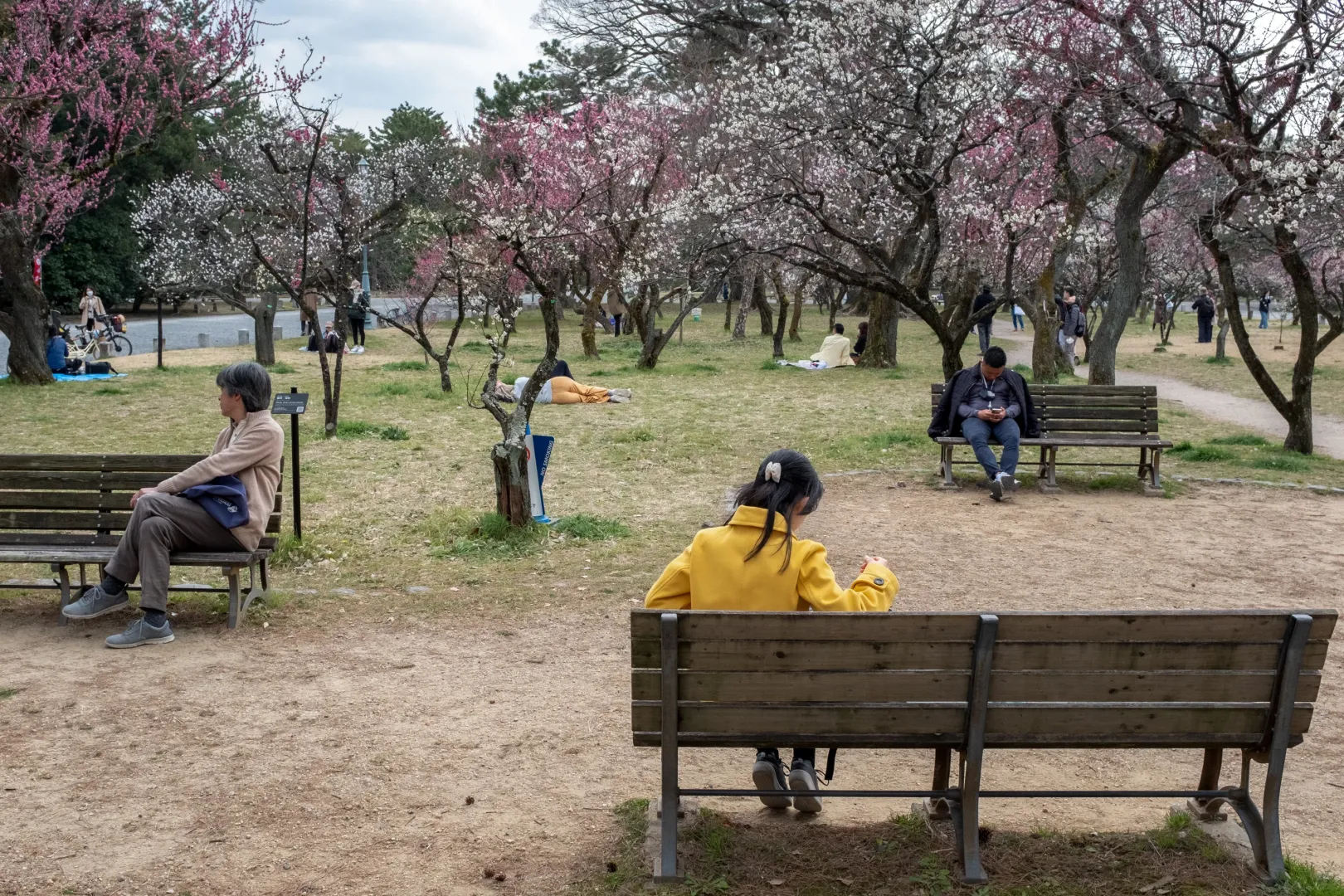Park Kiotóban – Fotó: Kocsány Kornél