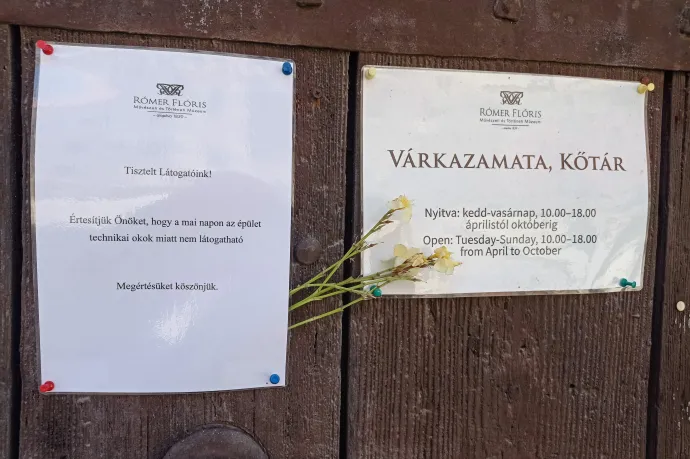 Az egész városra ránehezedett a tragédia, ennek egy ismeretlen virággal adta jelét – Fotó: Laczó Balázs / Telex