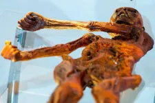 Egyáltalán nem úgy nézett ki Ötzi, mint ahogy eddig hitték