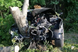 Olyan sebességgel csapódott egy fának Gárdonyban egy autós, hogy a helyszínen meghalt