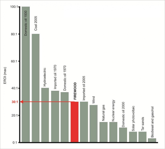 Az egyes energiahordozók EROI-mutatója: amerikai kőolaj 1930-ban, szén 2005-ben, vízenergia, importolaj 1970-ben, amerikai olaj 1970-ben, tűzifa, importolaj 2005-ben, szél, földgáz, atomenergia, amerikai olaj 2000-ben, napenergia, olajhomok, bioüzemanyagok
