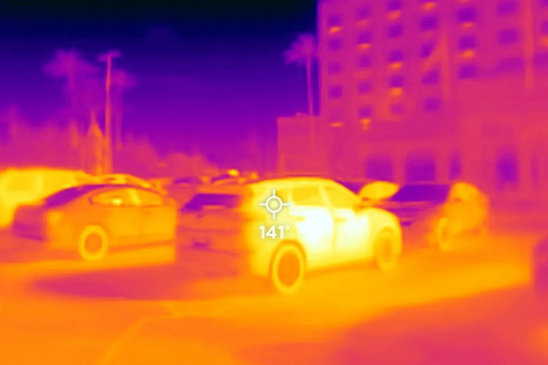 Akkora volt a hőség, hogy már a kaktuszok is kipusztultak