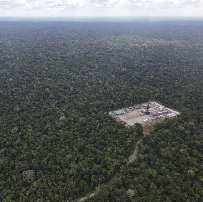 Évi több százmilliárdos bevétel helyett az őserdő megmentését választották a történelmi népszavazáson
