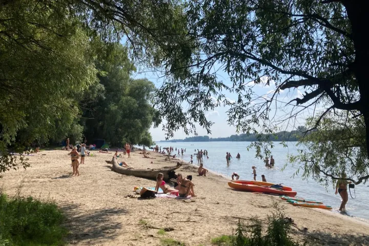 Kovászosuborka-leves és a gödi Homok-sziget – Fotó: Tenczer Gábor / Telex
