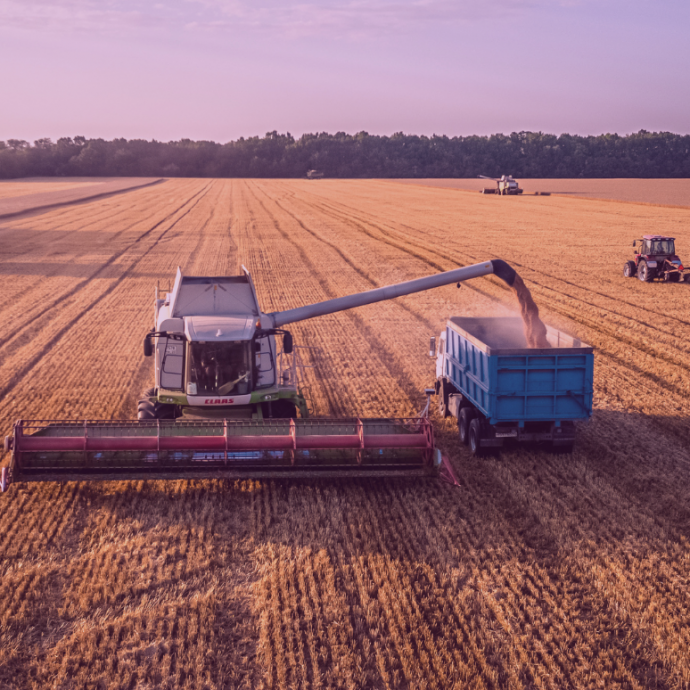 Túllátni az ipari gabonabányákon – befektetők a magyar mezőgazdaságról és élelmiszerárakról
