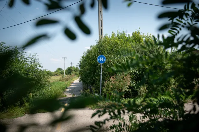 Hiába újították fel, elnyelné az enyészet a tiszaszigeti bicikliutat, ha a helyiek nem tisztogatnák