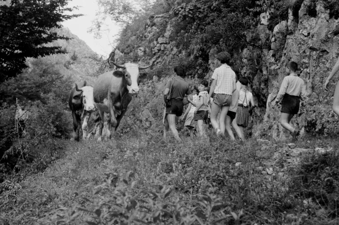 Barlangok, sziklák, kanyargó folyó: már 50 évvel ezelőtt is klasszikus kirándulóhelynek számított a bihari Vársonkolyos