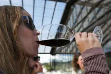 Nem fogy a bor Franciaországban, 70 milliárd forintnyi eurót kapnak a borászok, hogy mást termeljenek