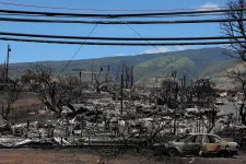 A hawaii áramszolgáltató elismerte, hogy leszakadó villanyvezetékek okozták a bozóttüzet