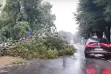 Tetőket szedett le, fákat csavart ki a vihar Szatmáron