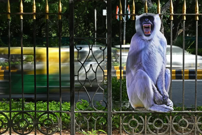 Életnagyságú majomfigura egy újdelhi parkban 2023. augusztus 30-án, tíz nappal a G20-csúcstalálkozója előtt – Fotó: Arun Sankar / AFP