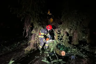 19 romániai megyében pusztított a vihar: fákat tört ki, utakat torlaszolt el, tetőket rongált meg