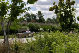 Díjat nyert a Főkert első ökológiai szemléletű parkja, Brüsszelben jön a következő megmérettetés