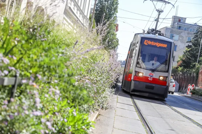 Bécsben 140 ezres bírság jár a hebehurgya sínre parkolásért, Budapesten 10-30 ezer