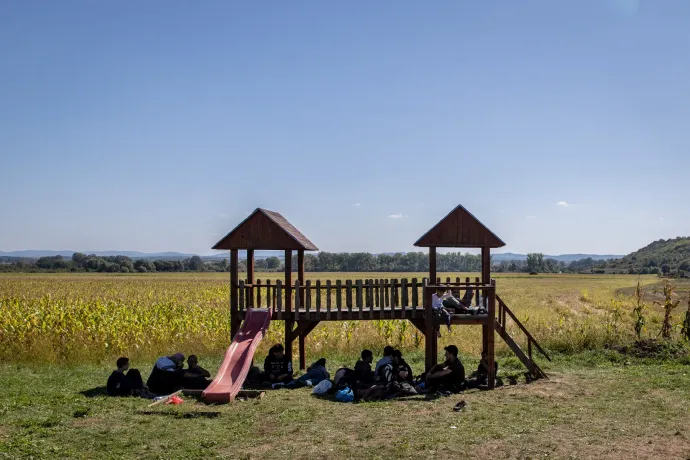 'After we closed for the day, there was a knock on the door, I opened it, and there stood a thousand migrants'