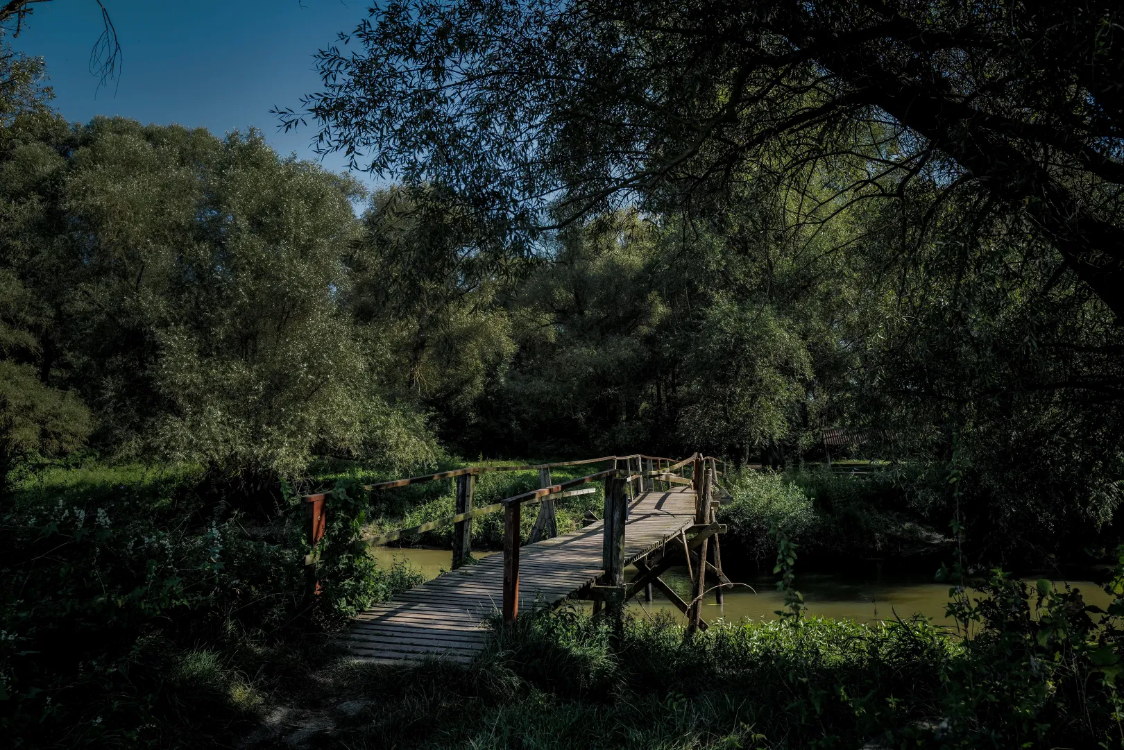 The wooden bridge between Hungary's Drégelypalánk and Slovakia's Ipel'ské Predmostie – Photo: István Huszti / Telex