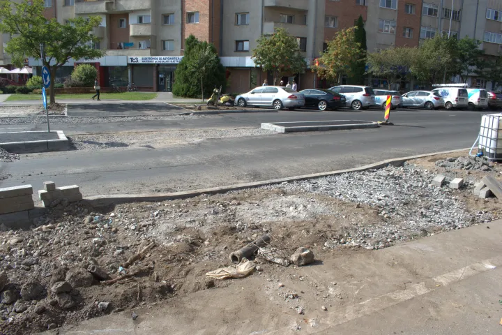 Nyoma sincs, hogy fák lettek volna az aszfaltban – Fotó: Tőkés Hunor / Transtelex