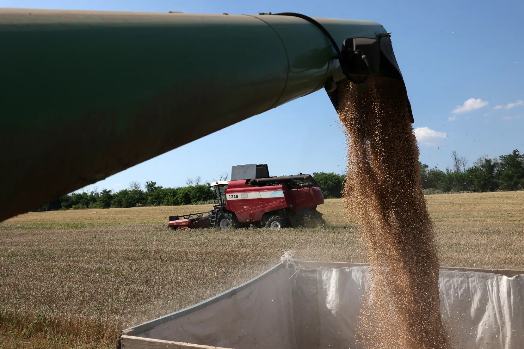 Az ukrán gabona behozatali tilalmának egyoldalú meghosszabbítását kérik a romániai gazdák