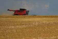 Románia az ukrán cselekvési terv bemutatása után dönt a gabonaimport tilalmának meghosszabbításáról