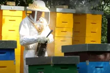 Hordókban áll az eladatlan magyar méz, sokan már feladnák a szakmát