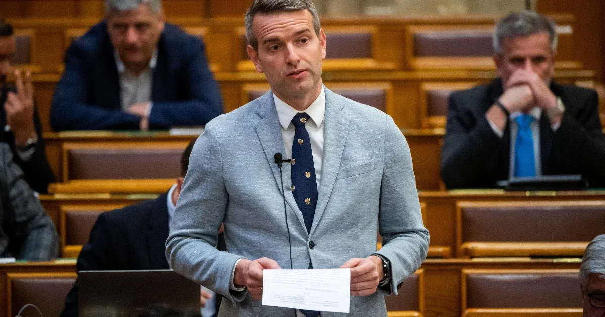 Steiner Attila: A napelemeseknek nem kell a termelés után rendszerhasználati díjat fizetni