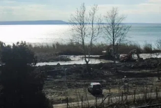 Pár éve kiirtották a védett nádast, most vitorláskikötőt akarnak a helyére Balatonakaliban