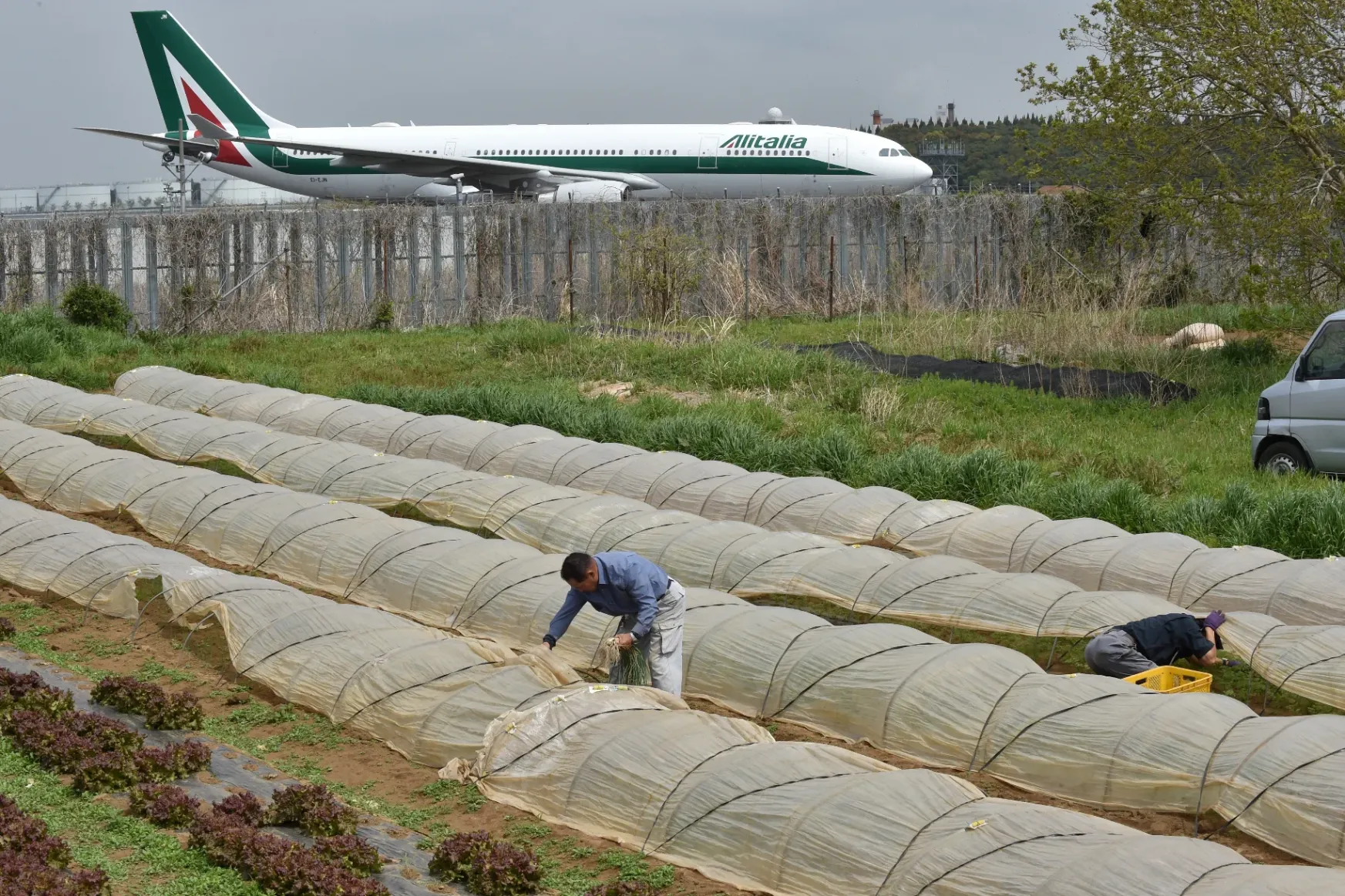 A japán férfi, akinek a farmját az ország második legnagyobb reptere veszi körbe, de mégis ott akar élni
