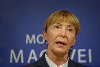 Vádat emeltek Monica Macovei volt igazságügyi miniszter ellen gondatlanságból elkövetett testi sértés miatt
