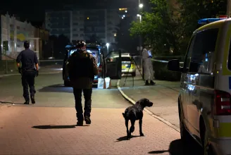 Bevetik a hadsereget is Svédországban, hogy leszámoljanak a bandaháborúkkal